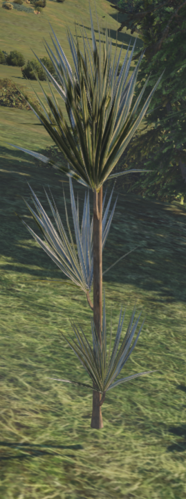 planze.png