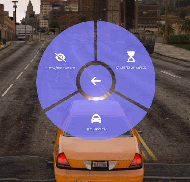 taxiradikal.png